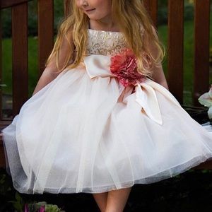 Chantilly Place Girls flower girls formal dress 3T